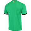 Image of Italy National Team Puma/18 Replica Goalkeeper Jersey – Green 2019