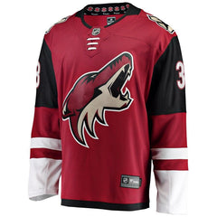 Alex Goligoski Arizona Coyotes Breakaway Player Jersey – Garnet 2019