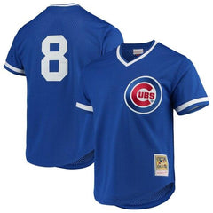 Andre Dawson Chicago Cubs Mitchell &amp; Ness Cooperstown Collection Mesh Batting Practice Jersey – Royal 2019