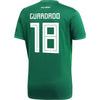 Image of Andres Guardado Mexico National Team Youth Home Replica Jersey - Green 2019