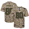 Image of Danny Amendola Miami Dolphins Youth Salute to Service Game Jersey - Camo 2019