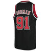 Image of Dennis Rodman Chicago Bulls Mitchell &amp; Ness Youth Hardwood Classics Swingman Jersey – Black 2019