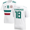 Image of Andres Guardado Mexico National Team Youth Away Replica Player Jersey – White/Green 2019