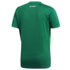 Image of Mexico National Team Youth Home Replica Blank Jersey - Green 2019