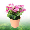 Image of Artificial Flower Plastic Pot Pansy Flower for Home Balcony Garden Decor