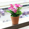 Image of Artificial Flower Plastic Pot Pansy Flower for Home Balcony Garden Decor