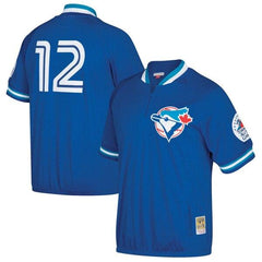 Roberto Alomar Toronto Blue Jays Mitchell &amp; Ness Cooperstown Collection Mesh Batting Practice Quarter-Zip Jersey - Royal 2019