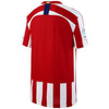 Image of Atletico de Madrid Youth 2019/20 Home Replica Jersey - Red/White 2019